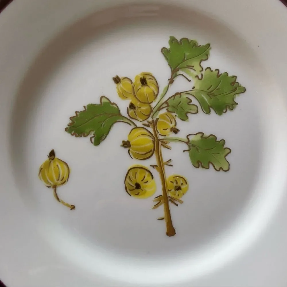 Crate & Barrel Monno Berries Salad Plate